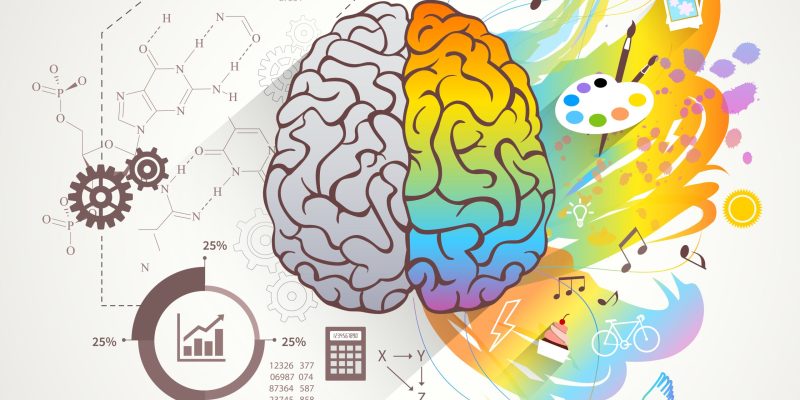 Left and right brain concept with colors music and science flat vector illustration